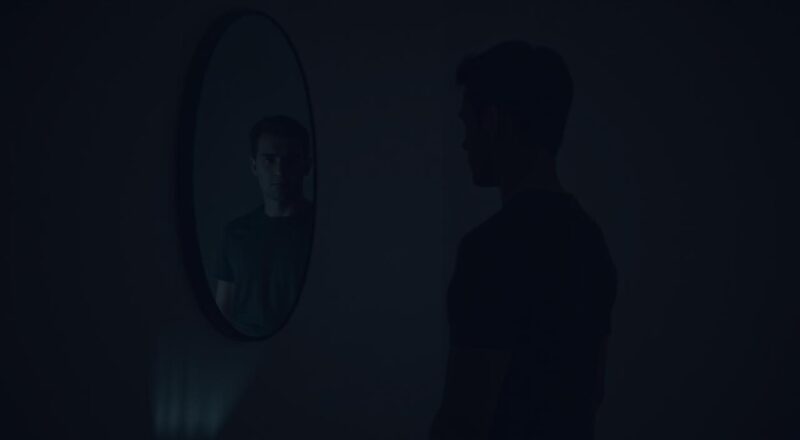 fregoli sindrom mentalni fenomen fregoli sindrom mentalni fenomen